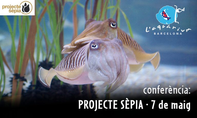 Conferencia Projecte Sèpia