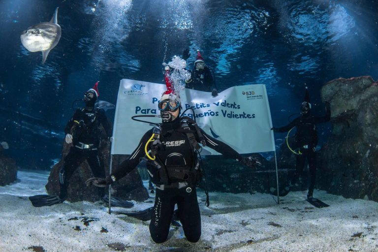 L’AQUÀRIUM DE BARCELONA I DAVID FERRER FELICITEN EL NADAL