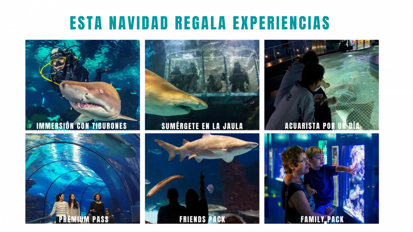 REGALOS ORIGINALES DE NAVIDAD