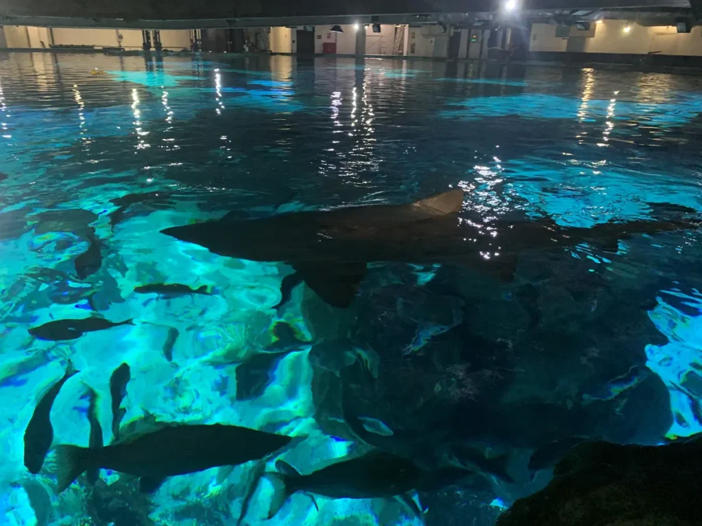 Zona técnica L'Aquàrium de Barcelona