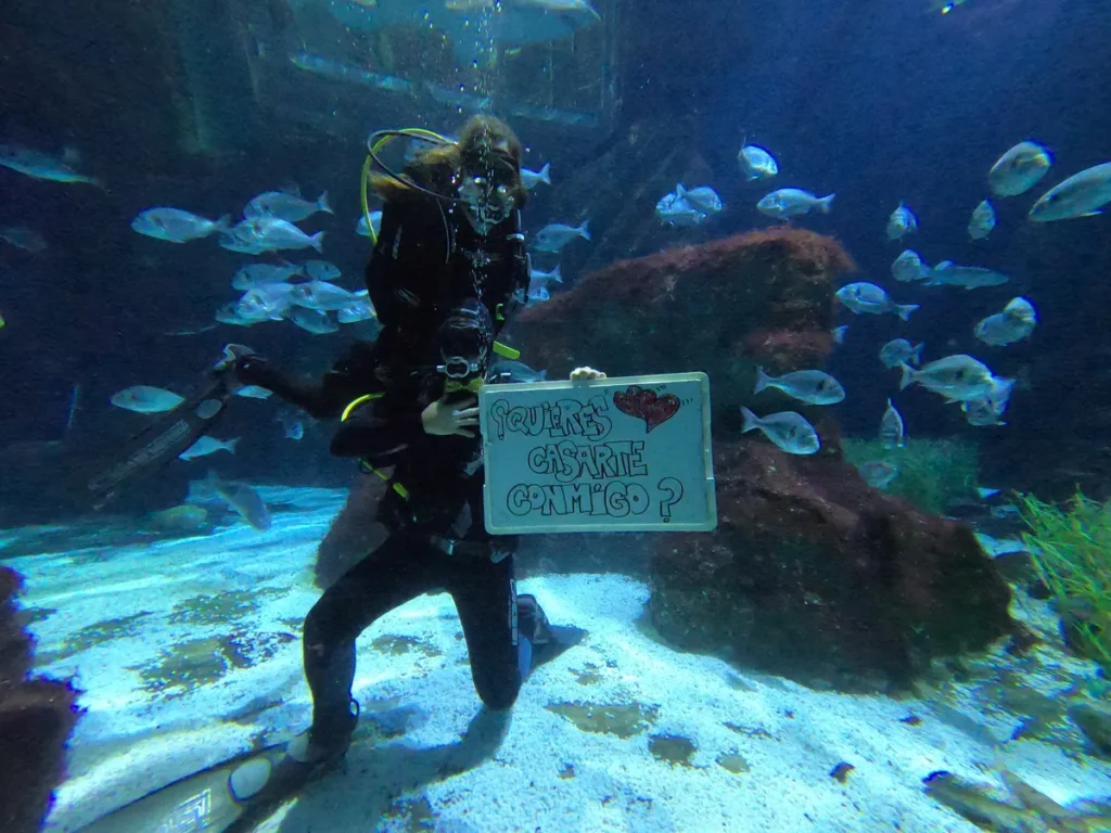 PETICIÓN DE MANO JUNTOS ENTRE TIBURONES