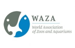 logo-waza
