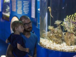 LOOKING FOR CHILDREN-FRIENDLY PLANS IN BARCELONA? VISIT L’AQUÀRIUM