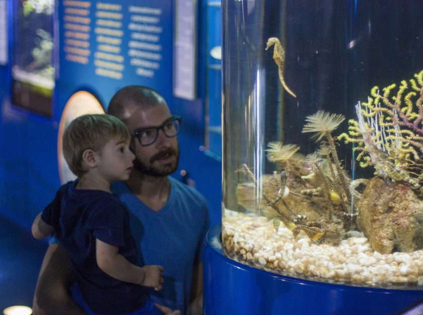 Children in L'Aquàrium