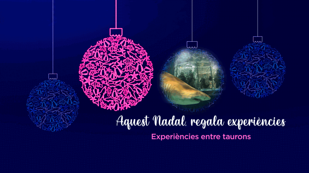 REGALS DE NADAL ORIGINALS