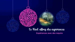CADEAUX ORIGINAUX DE NOËL