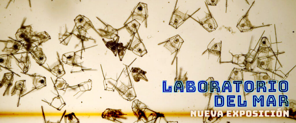 Nueva exposición laboratorio del mar