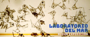 LABORATORIO DEL MAR, espacio de conservación