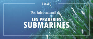 ELS BOSCOS SUBMARINS DE POSIDONIA