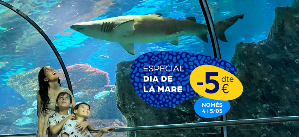 EL DIA DE LA MARE ARRIBA AMB DESCOMPTES A L’AQUÀRIUM DE BARCELONA