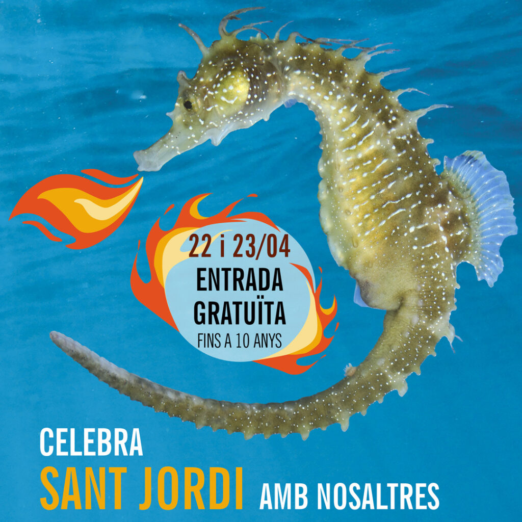 Promoción Sant Jordi en L'Aquàrium