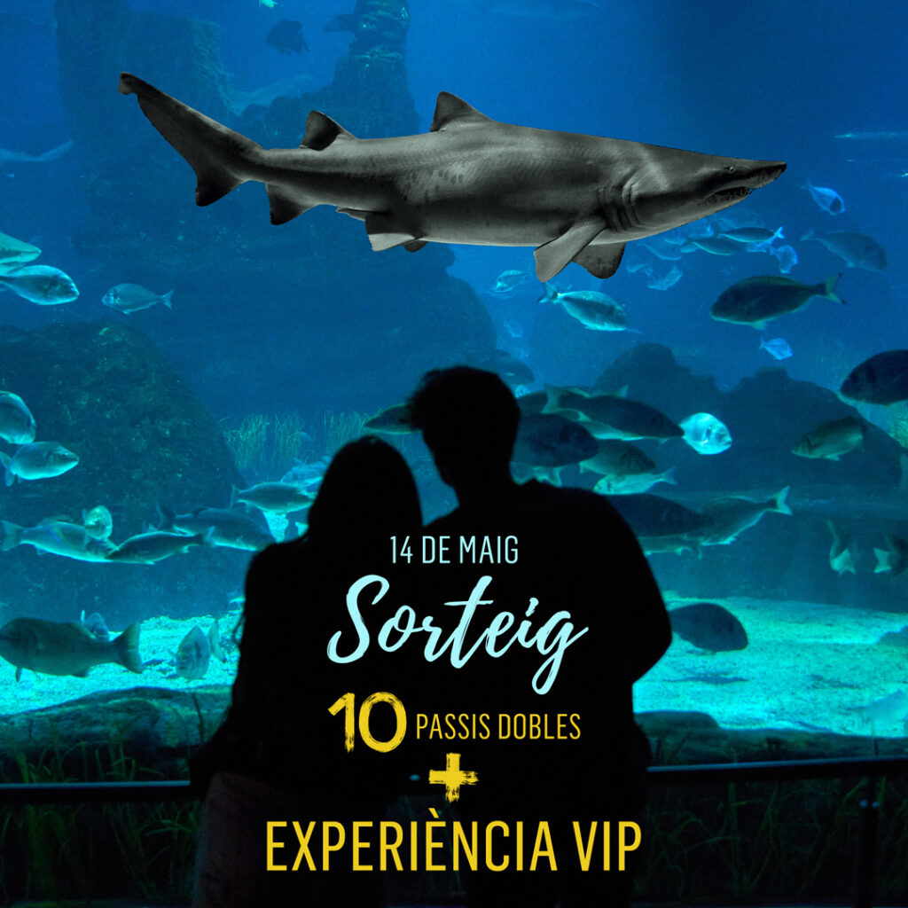 sorteo aquarium barcelona experiencia exclusiva