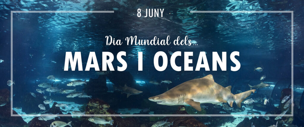 DIA MUNDIAL DELS MARS I OCEANS