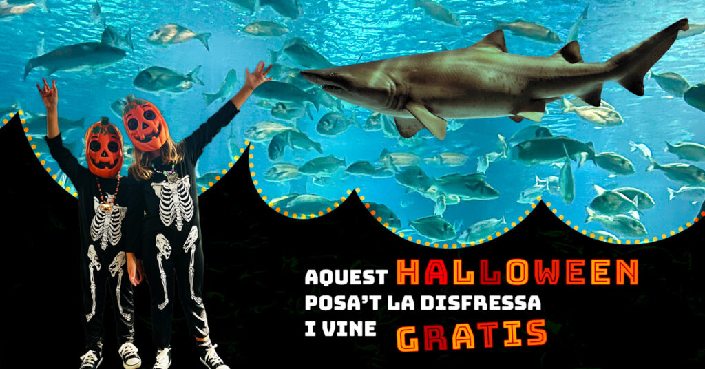 Halloween descuento aquarium gratis 2x1