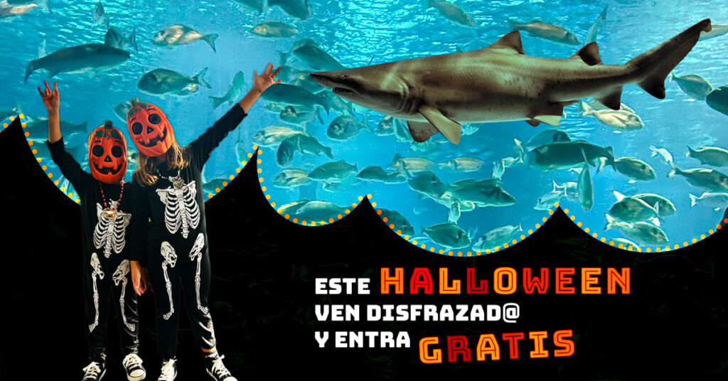 Halloween descuento,aquarium gratis 2x1