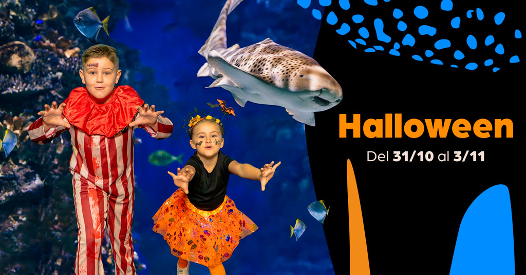 HALLOWEEEN EN L’AQUÀRIUM DE BARCELONA