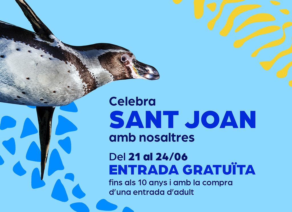 ¡POR SANT JOAN UNA TRACA DE PROMOCIONES!