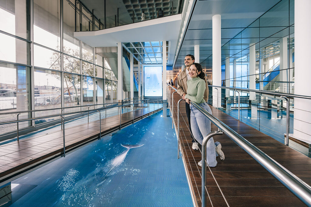 Bienvenidos al NUEVO Aquàrium