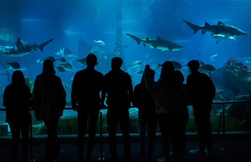 L'Aquarium de Barcelona
