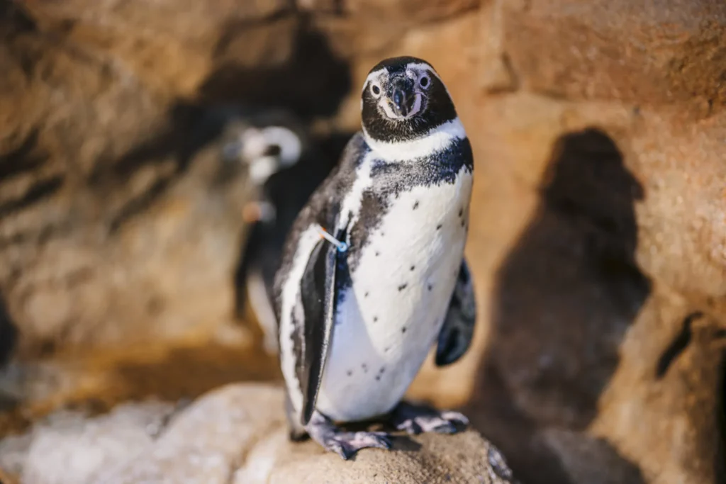L'Aquarium de Barcelona