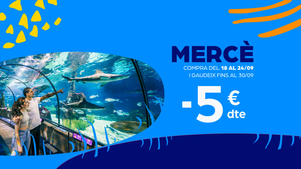 CELEBRA LA MERCÈ EN EL NUEVO AQUÀRIUM DE BARCELONA