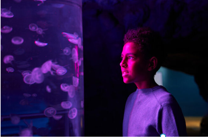 SUPERCAPDESETMANA A L’AQUÀRIUM DE BARCELONA