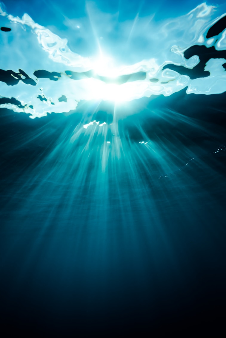 El mediterraneo