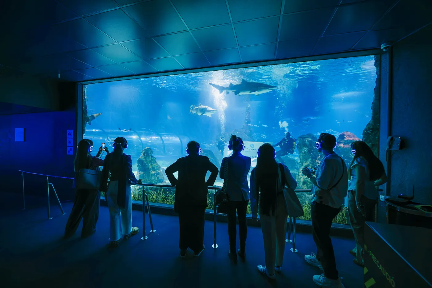 gradas eventos brindis pausa charlas vistas acuario
