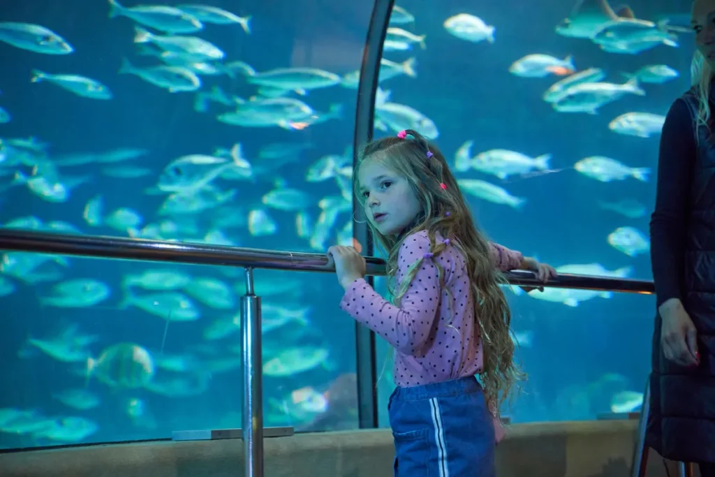 Niña observa peces en un túnel marino durante una experiencia educativa que acerca el entorno submarino al aprendizaje.