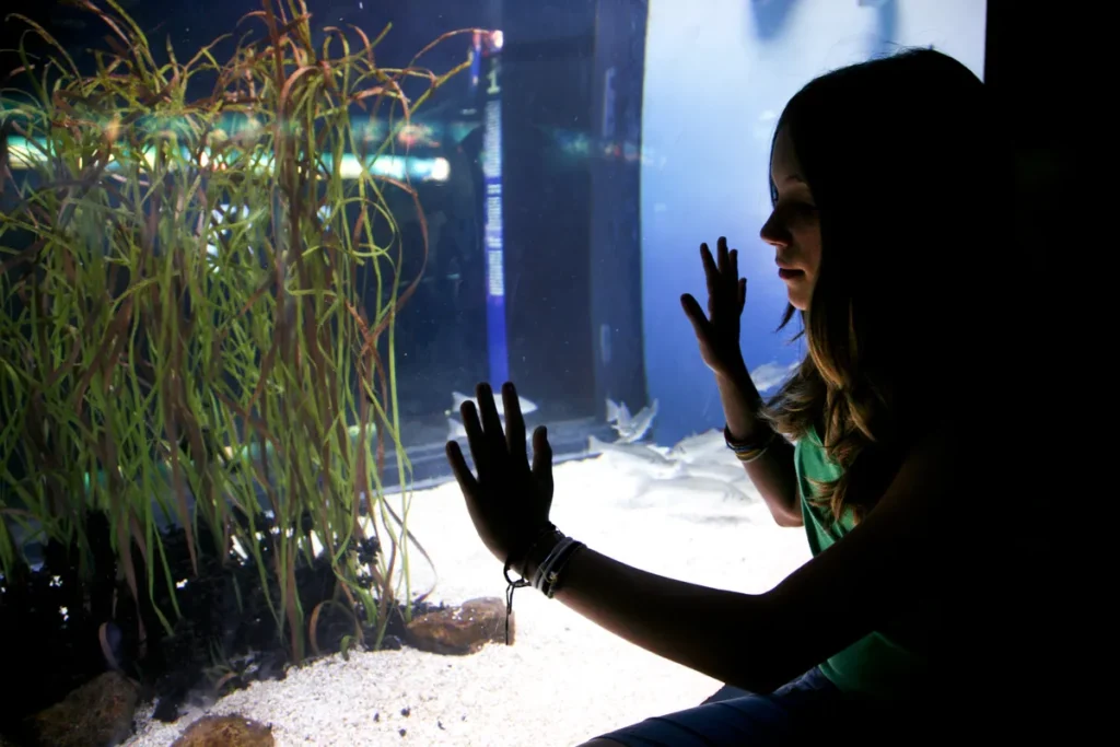 A girl looks at a tank during a learning activity offered by the summer school programme.