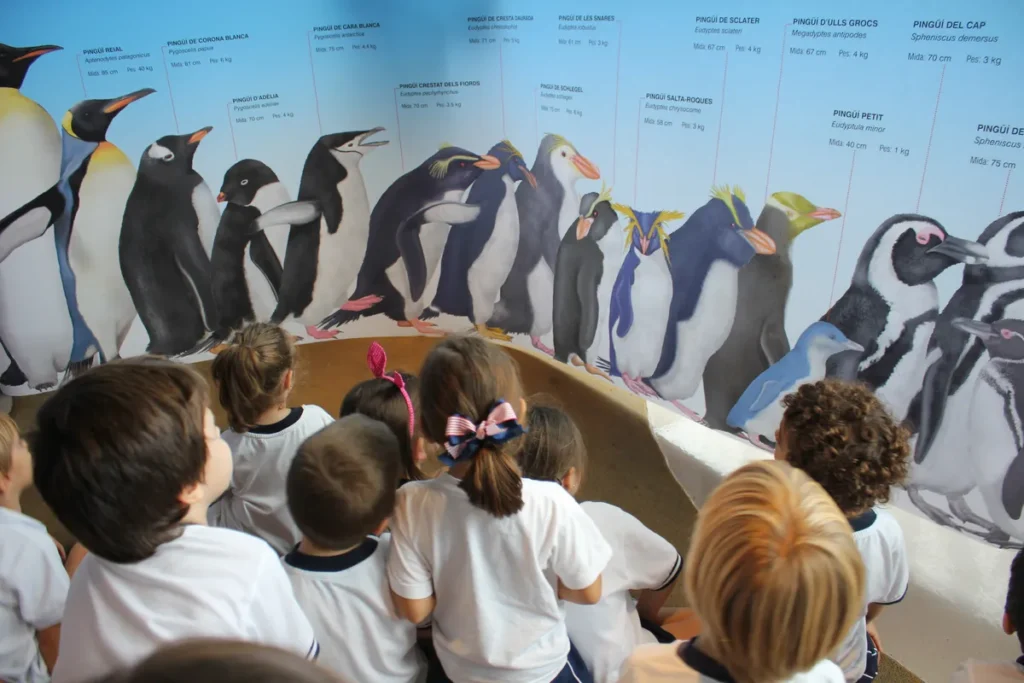 Niños observan un panel ilustrado con distintas especies de pingüino y comparan sus tamaños y características.