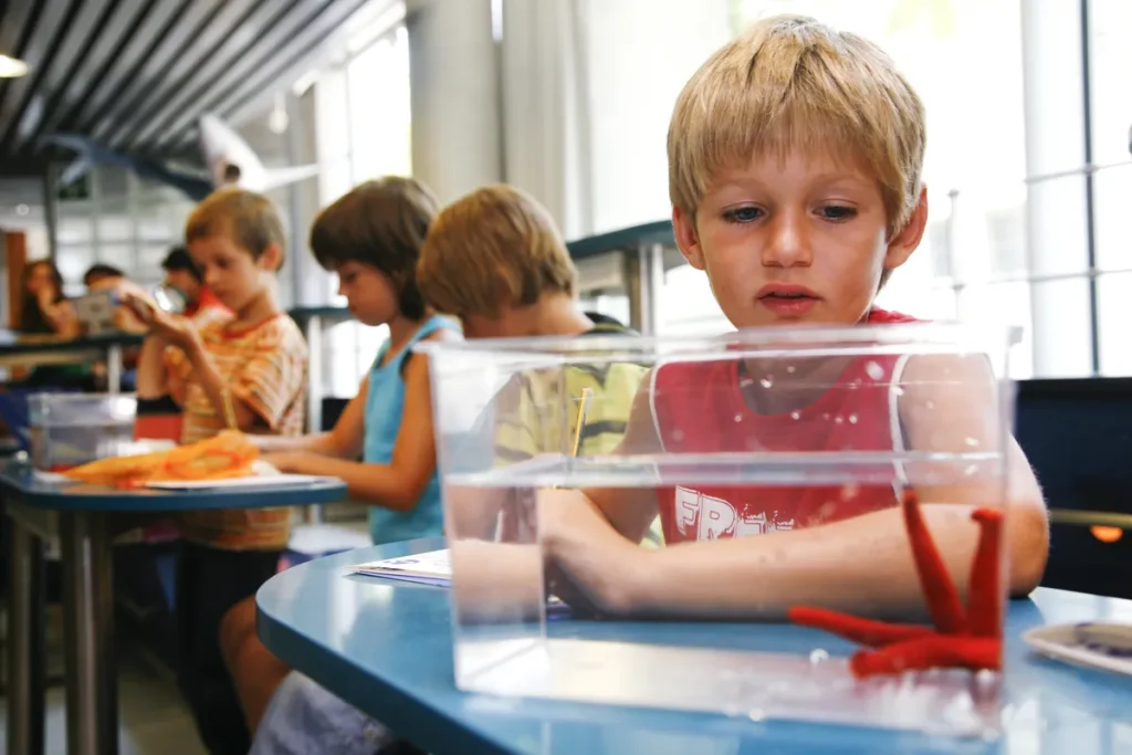 Niños observan recipientes con estrellas de mar durante una sesión practica sobre invertebrados marinos.