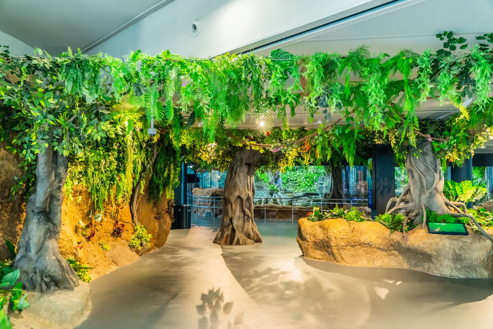 Ecosistema de río tropical recreado en acuario en Barcelona