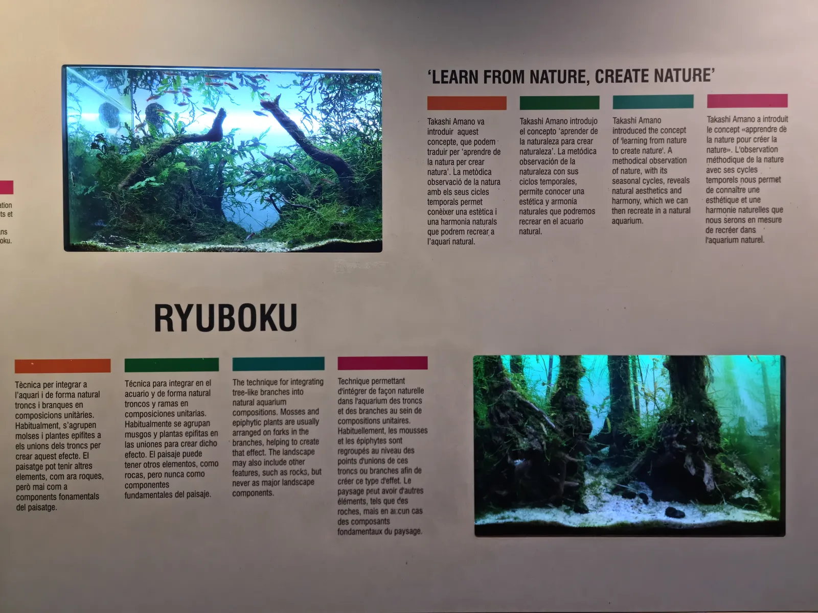 Panel que muestra composiciones de troncos y raíces del estilo Ryuboku, resaltando la estructura natural del paisaje acuático.