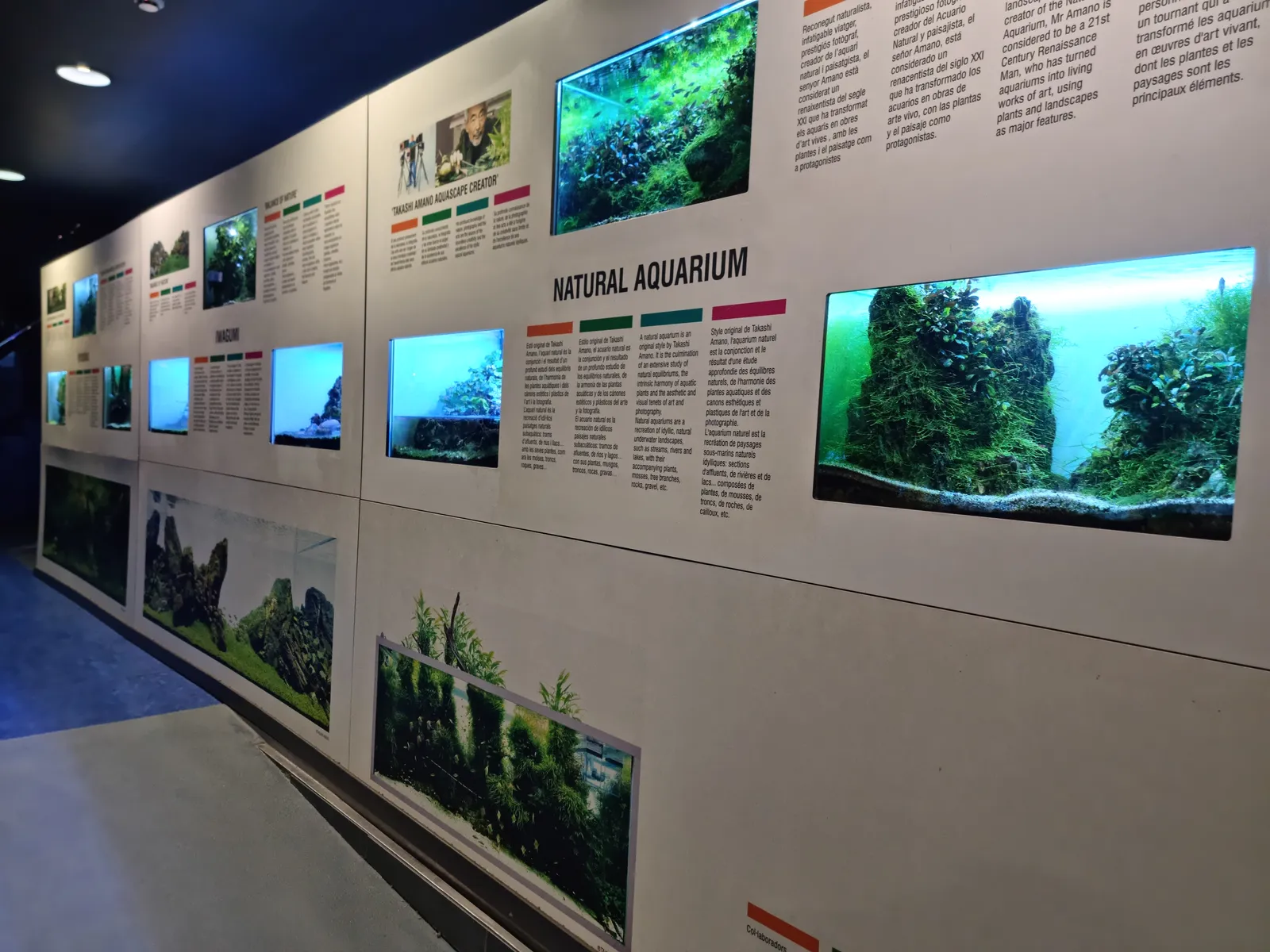 Panel expositivo que presenta diferentes interpretaciones de paisajes acuáticos inspirados en la estética japonesa del aquascaping.