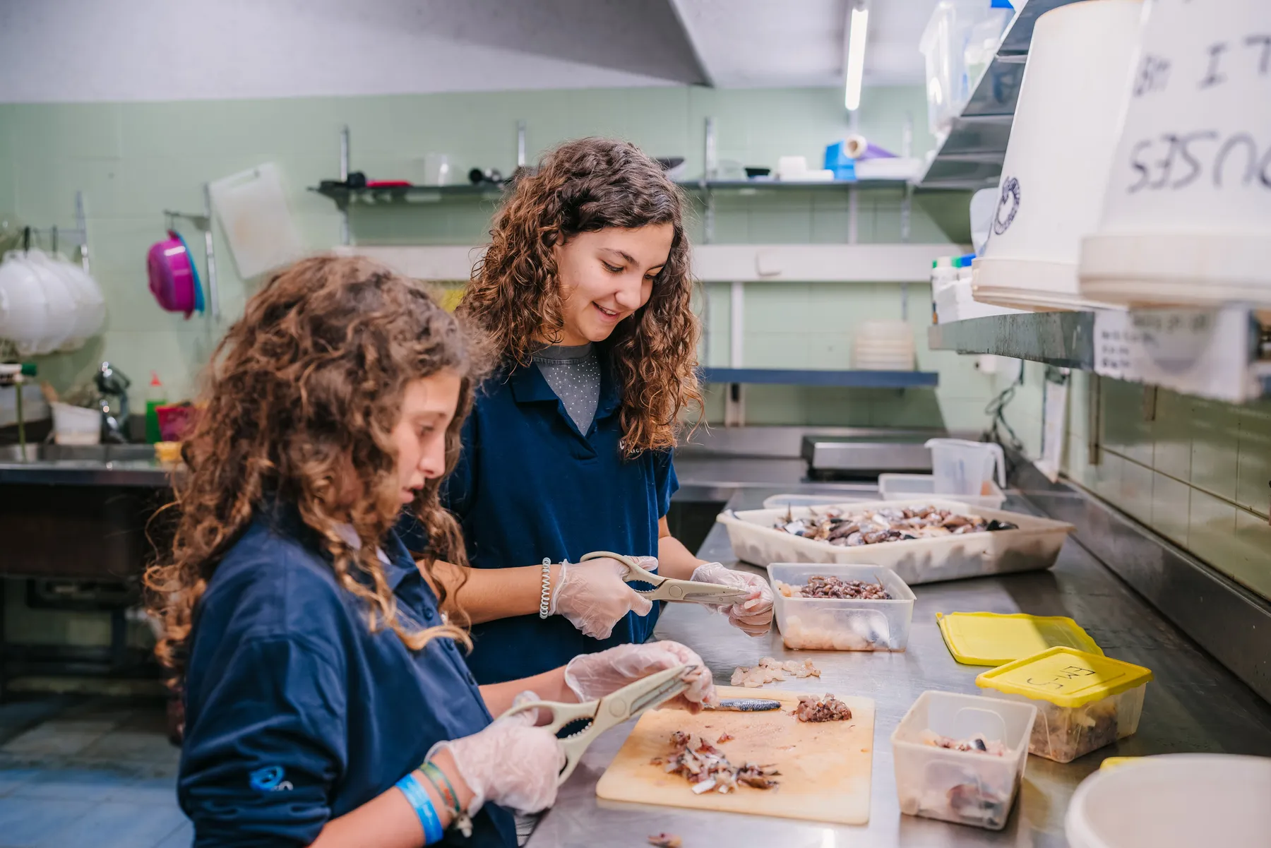 Enfants devant l’aquarium effectuant des tâches d’aquariologiste à L’Aquàrium de Barcelone