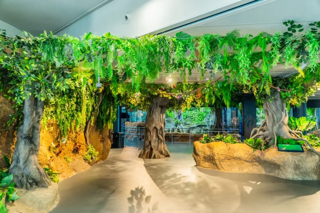 BOSQUE DE MANGLARES EN L'Aquarium de Barcelona