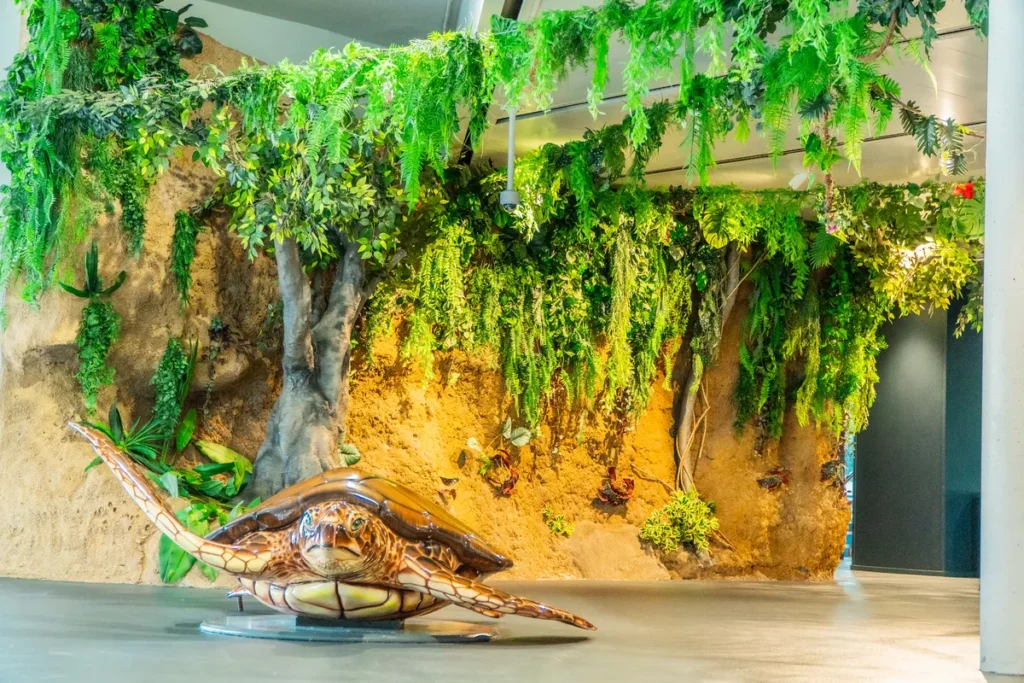 BOSQUE DE MANGLARES EN L'Aquarium de Barcelona