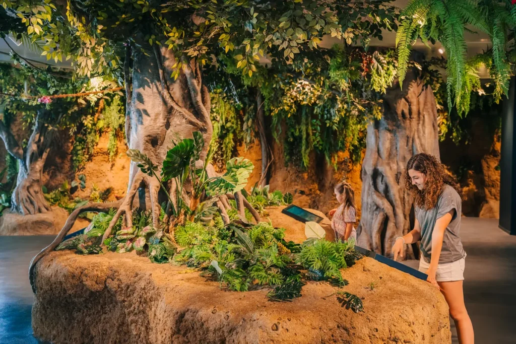 BOSQUE DE MANGLARES EN L'Aquarium de Barcelona