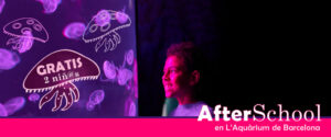 AFTERSCHOOL EN L’AQUÀRIUM DE BARCELONA