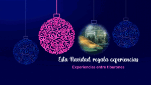 ORIGINAL CHRISTMAS GIFTS