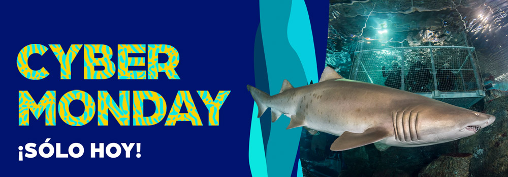 CYBERMONDAY en L'Aquàrium de Barcelona