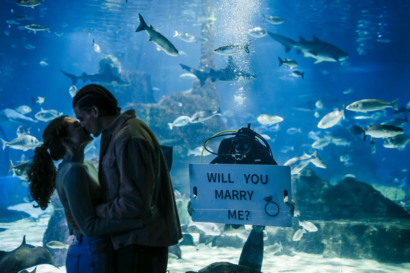 Una pareja se besa frente al gran acuario después de una propuesta de matrimonio acompañada por un mensaje submarino.
