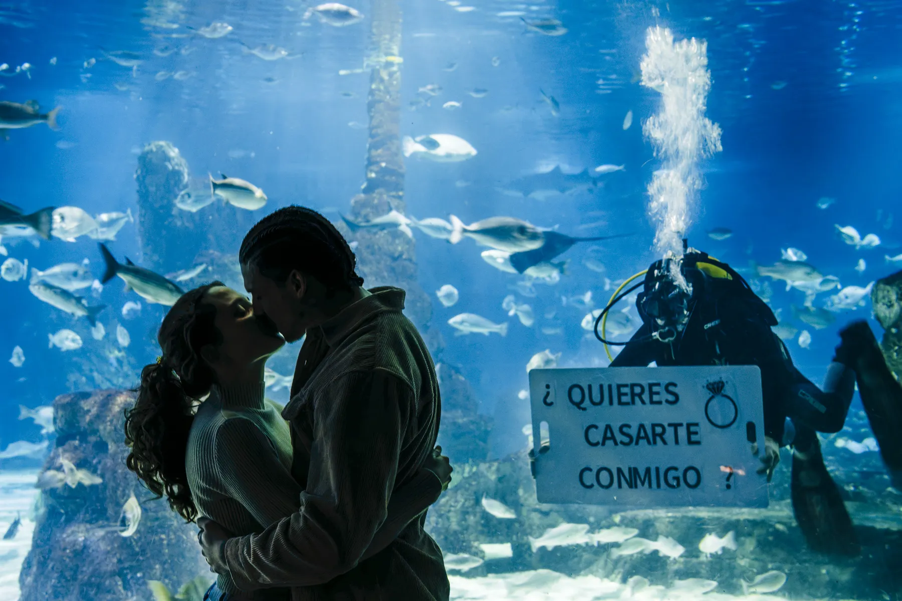 Couple observant un plongeur avec une pancarte de demande en mariage