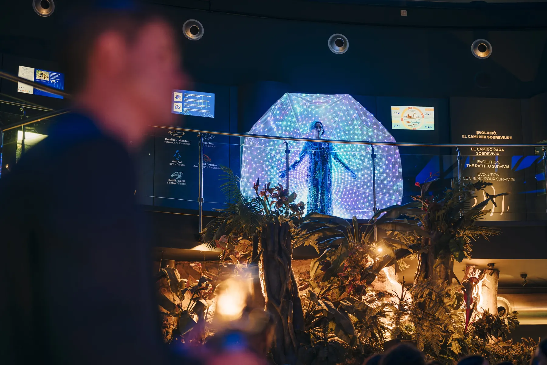 Músicos actúan en directo durante un evento nocturno junto al recorrido marino de L’Aquàrium de Barcelona.