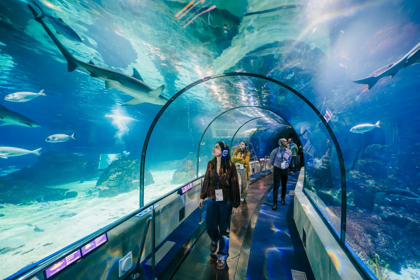 Invitados recorren el túnel submarino de L’Aquàrium rodeados de peces durante una experiencia para eventos.