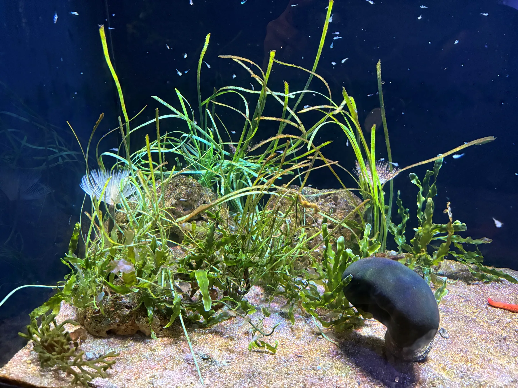 TESOROS SUBMARINOS
