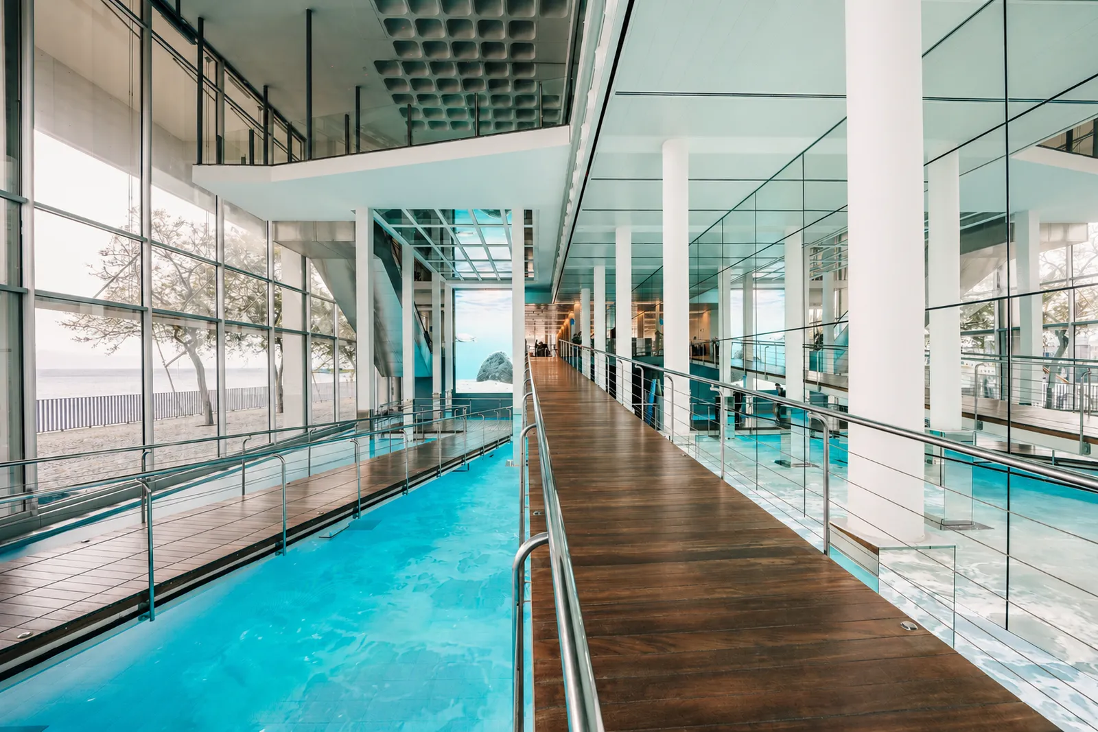 Visita Premium L'Aquarium de Barcelona