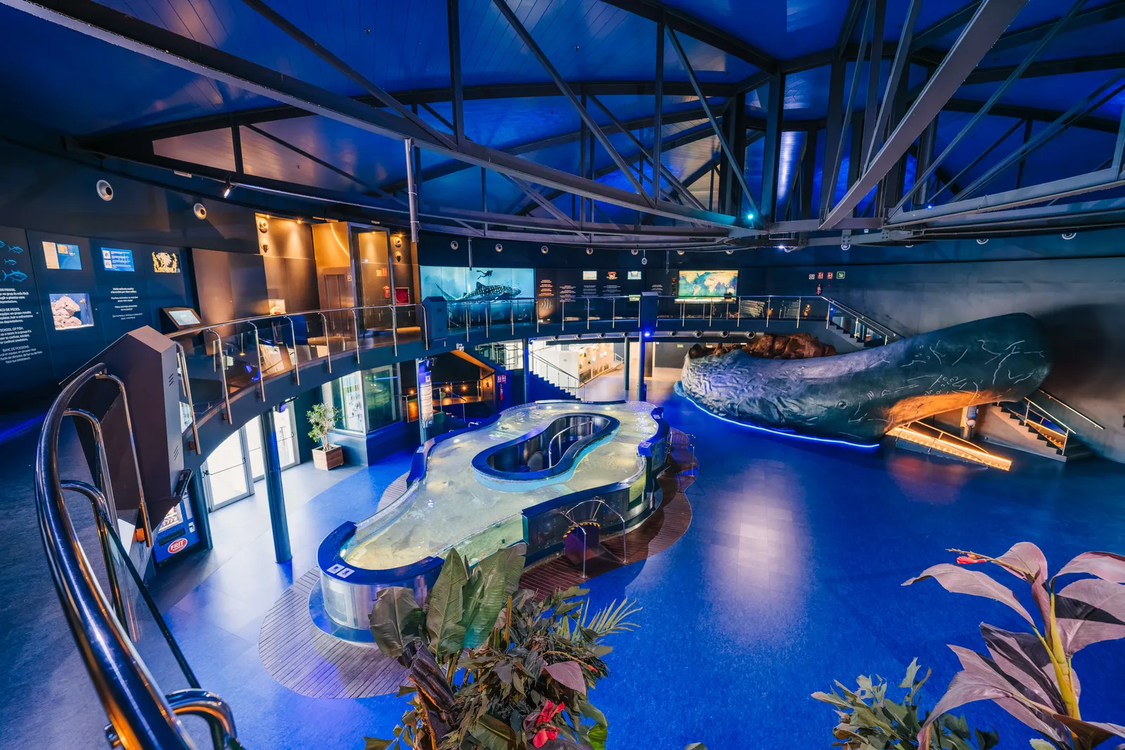 Visita Premium L'Aquarium de Barcelona