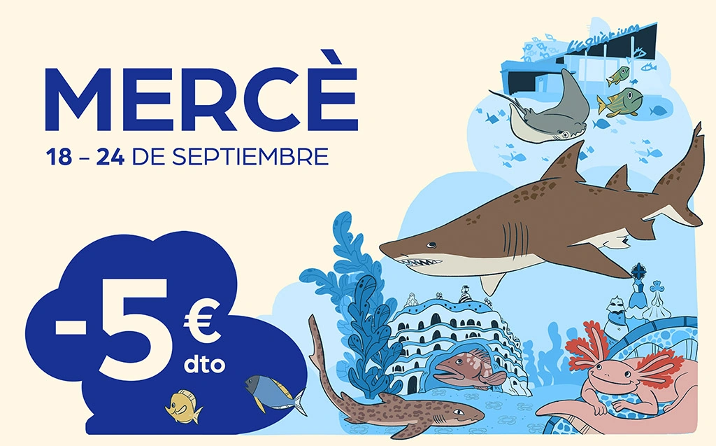 Cartel de la Promoción Mercè: 5€ de descuento por entrada válido del 18 al 24 de septiembre, para visitar L'Aquàrium hasta el 30 de septiembre.